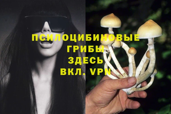 спиды Алексин