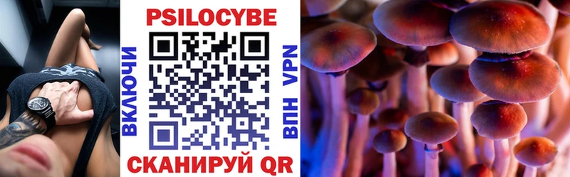 где продают наркотики  гидра вход  Псилоцибиновые грибы GOLDEN TEACHER  Северодвинск 